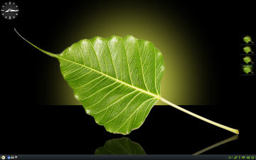Bodhi 7 screen shot